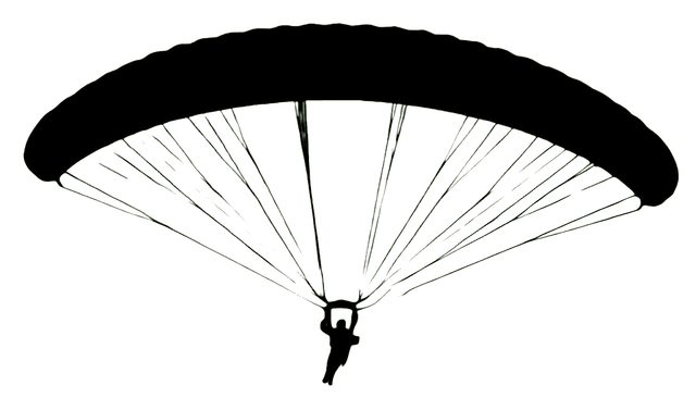 Paraglider